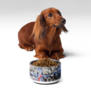 Ben Holgate Art - Pet bowl